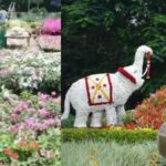 ಬೆಂಗಳೂರಿಗರೆ ವೀಕೆಂಡ್ ಪ್ಲ್ಯಾನ್ ರೆಡಿ ಮಾಡಿ: ಕಬ್ಬನ್ ಪಾರ್ಕ್ನಲ್ಲಿ ಅರಳಿದ ಹೂವಿನ ಲೋಕ!