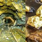 KGF ಆಯ್ತು, ಈಗ ಈ 5 ಜಿಲ್ಲೆಗಳ ಸರದಿ: ಕರ್ನಾಟಕದ ಮಣ್ಣಲ್ಲಿ ಮತ್ತೆ ಸಿಕ್ತು ಚಿನ್ನದ ನಿಕ್ಷೇಪ!