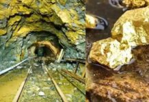 KGF ಆಯ್ತು, ಈಗ ಈ 5 ಜಿಲ್ಲೆಗಳ ಸರದಿ: ಕರ್ನಾಟಕದ ಮಣ್ಣಲ್ಲಿ ಮತ್ತೆ ಸಿಕ್ತು ಚಿನ್ನದ ನಿಕ್ಷೇಪ!