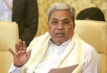 ಸಾಲುಮರದ ತಿಮ್ಮಕ್ಕ ಹೆಸರಿನಲ್ಲಿ ಪ್ರತೀ ವರ್ಷ ಪರಿಸರವಾದಿಗಳಿಗೆ ಪ್ರಶಸ್ತಿ