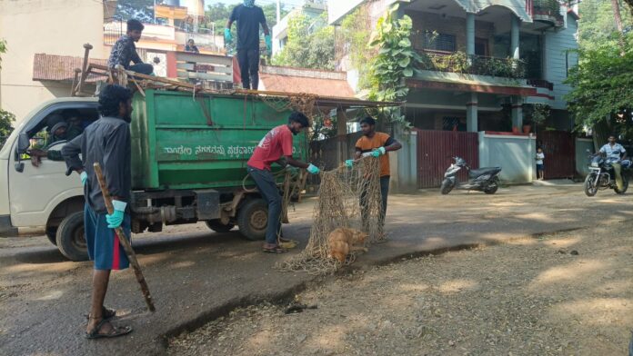 dandeli-municipality-street-dog-action-operation