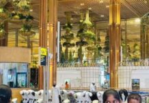 ಏರ್ಪೋರ್ಟ್ನಲ್ಲಿ ‘ನಮಾಜ್’ ಕಿಡಿ: ಸರ್ಕಾರದ ವಿರುದ್ಧ ಬಿಜೆಪಿ ಗರಂ, ಸಿಎಂ ಉತ್ತರಿಸುವರೇ?