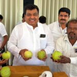 ರೆಡ್ ಡೈಮಂಡ್ ಪೇರಲ: ಬಾಬಾನಗರದ ನೆಲದಲ್ಲಿ ಅರಳುತ್ತಿದೆ ಹಸಿರು ವಜ್ರ!