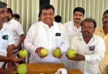 ರೆಡ್ ಡೈಮಂಡ್ ಪೇರಲ: ಬಾಬಾನಗರದ ನೆಲದಲ್ಲಿ ಅರಳುತ್ತಿದೆ ಹಸಿರು ವಜ್ರ!