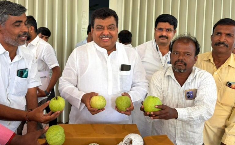 ರೆಡ್ ಡೈಮಂಡ್ ಪೇರಲ: ಬಾಬಾನಗರದ ನೆಲದಲ್ಲಿ ಅರಳುತ್ತಿದೆ ಹಸಿರು ವಜ್ರ!