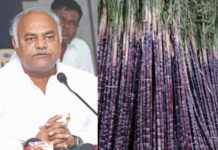 ಕಬ್ಬು ಹೋರಾಟದ ಹಿನ್ನೆಲೆಯಲ್ಲಿ ಸಕ್ಕರೆ ಸಚಿವ ಶಿವಾನಂದ ಪಾಟೀಲರ ತುರ್ತು ಬೆಳಗಾವಿ ಭೇಟಿ