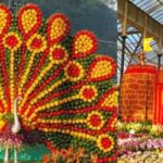 ‘ಪುಷ್ಪಲೋಕʼದ ಸೊಬಗಿಗೆ ಮಾರುಹೋದ ಬೆಂಗಳೂರು: ರೂ.10 ಲಕ್ಷ ಟಿಕೆಟ್ ಸಂಗ್ರಹ, ಭರ್ಜರಿ ಹಿಟ್!