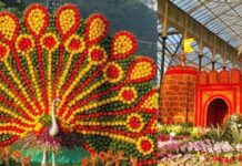 ‘ಪುಷ್ಪಲೋಕʼದ ಸೊಬಗಿಗೆ ಮಾರುಹೋದ ಬೆಂಗಳೂರು: ರೂ.10 ಲಕ್ಷ ಟಿಕೆಟ್ ಸಂಗ್ರಹ, ಭರ್ಜರಿ ಹಿಟ್!