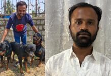 ಮಹಿಳೆ ಸಾವಿಗೆ ಕಾರಣವಾಗಿದ್ದ ಶ್ವಾನಗಳ ಮಾಲೀಕನ ಬಂಧನ