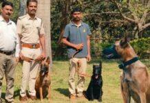 ದಾಂಡೇಲಿ ಕಾಳಿ ಹುಲಿ ರಕ್ಷಿತಾರಣ್ಯದಲ್ಲಿ ಅರಣ್ಯ ಅಪರಾಧ ಪತ್ತೆಗೆ ಶ್ವಾನದಳ ಬಲವರ್ಧನೆ