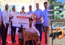 ಕರಾವಳಿ ಉತ್ಸವ: ಪ್ರಾಣಿಪ್ರಿಯರನ್ನು ಆಕರ್ಷಿಸಿದ ಶ್ವಾನಗಳ ಪ್ರದರ್ಶನ