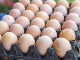 ಕೋಳಿ ಮೊಟ್ಟೆ ದರ ಏರಿಕೆ: 8 ರೂಪಾಯಿಗೆ ಮಾರಾಟ