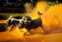 ಸರಕಾರದಿಂದ 23 ಕಂಬಳೋತ್ಸವಕ್ಕೆ ತಲಾ 5 ಲಕ್ಷ ರೂ. ನೆರವು