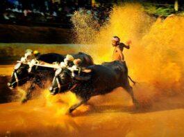 ಸರಕಾರದಿಂದ 23 ಕಂಬಳೋತ್ಸವಕ್ಕೆ ತಲಾ 5 ಲಕ್ಷ ರೂ. ನೆರವು