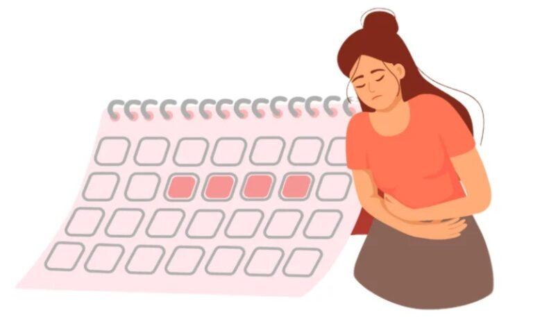 ಋತುಚಕ್ರ ರಜೆ: ಸರ್ಕಾರದ ಆದೇಶಕ್ಕೆ ಹೈಕೋರ್ಟ್ ಮಧ್ಯಂತರ ತಡೆ