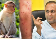 ಮಂಗನ ಕಾಯಿಲೆ ನಿಯಂತ್ರಣಕ್ಕೆ ಶಿರಸಿಯಲ್ಲಿ ಶೀಘ್ರವೇ ಹೊಸ ಪ್ರಯೋಗಾಲಯ