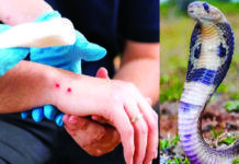 ಹಾವಿನ ವಿಷ ಪತ್ತೆಗೆ ಕನ್ನಡಿಗನಿಂದ ಸೋವಿ ಕಿಟ್!