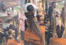 ಬಲೆಗೆ ಬಿದ್ದ 32 ಕೆಜಿ ತೂಕದ ಹದ್ದು ಮೀನು!