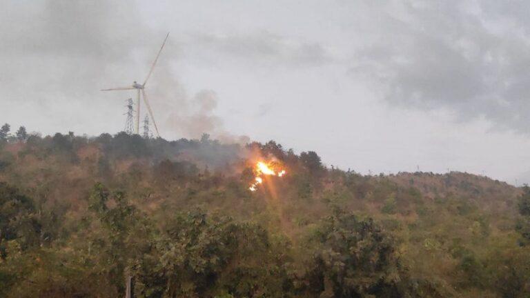 ಹೊಸಪೇಟೆ: ಅರಣ್ಯ ಪ್ರದೇಶಕ್ಕೆ ಬೆಂಕಿ