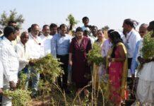 ಭೀಕರ ಮಳೆ ಹಾನಿ : ಕೇಂದ್ರ ನೆರೆ ಹಾನಿ ತಂಡದಿಂದ ಬೆಳೆ ಹಾನಿ ವೀಕ್ಷಣೆ