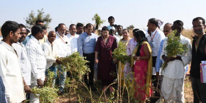 central-team-visits-kamalapur-crop-damage-floods-study