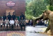 ದಾಂಡೇಲಿ: ಆನೆ – ಮಾನವ ಸಂಘರ್ಷ ತಗ್ಗಿಸುವ ಕುರಿತು ಕಾರ್ಯಾಗಾರ