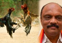 ಕೋಳಿ ಅಂಕ ವಿಚಾರದಲ್ಲಿ ಬಿಜೆಪಿ ಚಿಲ್ಲರೆ ರಾಜಕೀಯ ಮಾಡುತ್ತಿದೆ