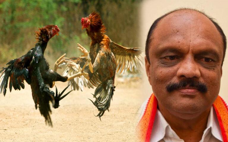 ಕೋಳಿ ಅಂಕ ವಿಚಾರದಲ್ಲಿ ಬಿಜೆಪಿ ಚಿಲ್ಲರೆ ರಾಜಕೀಯ ಮಾಡುತ್ತಿದೆ