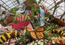 ತೇಜಸ್ವಿ – ವಿಸ್ಮಯ : ಲಾಲ್ಬಾಗ್ನಲ್ಲಿ ಜ.14ರಿಂದ ಫಲಪುಷ್ಪ ಪ್ರದರ್ಶನ