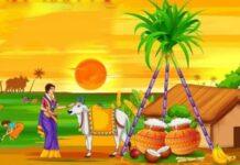 ಆತ್ಮ ಜಾಗೃತಿಯ ಪರ್ವ ಸಂಕ್ರಾಂತಿ ಹಬ್ಬ