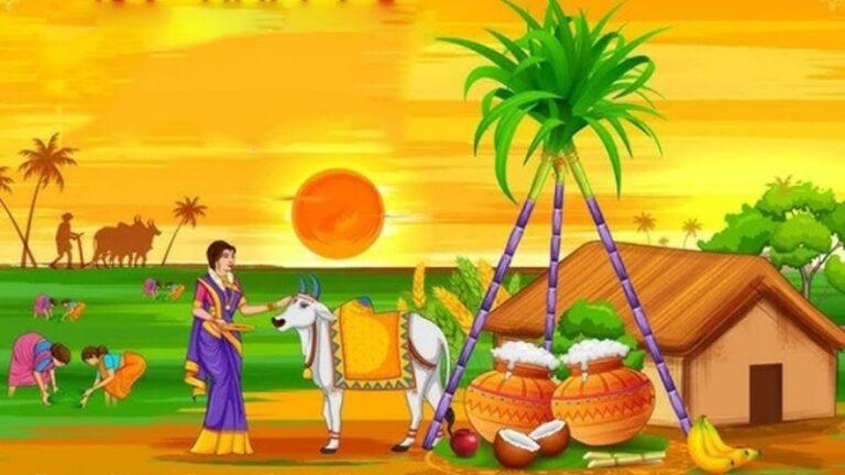 ಆತ್ಮ ಜಾಗೃತಿಯ ಪರ್ವ ಸಂಕ್ರಾಂತಿ ಹಬ್ಬ ಆತ್ಮ ಜಾಗೃತಿಯ ಪರ್ವ ಸಂಕ್ರಾಂತಿ ಹಬ್ಬ