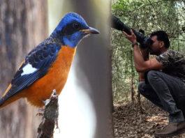 ದಾಂಡೇಲಿಯಲ್ಲಿ ಹಾರ್ನ್ ಬಿಲ್ ಹಬ್ಬಕ್ಕೆ ಸಿದ್ಧತೆ: ಪಕ್ಷಿವೀಕ್ಷಣೆಗೆ ಸುವರ್ಣಾವಕಾಶ