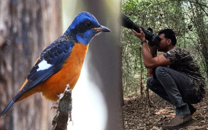 national-bird-day-dandeli-hornbill-bird-festival-awareness