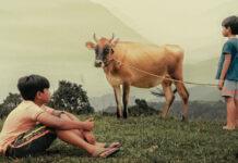 ಹಳ್ಳಿಯ ಗಾಳಿಯಂತೆ ಮನಸ್ಸಿಗೆ ಇಳಿಯುವ ‘ವಲವಾರ’ ವಿಮರ್ಶೆ