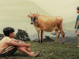 ಹಳ್ಳಿಯ ಗಾಳಿಯಂತೆ ಮನಸ್ಸಿಗೆ ಇಳಿಯುವ ‘ವಲವಾರ’ ವಿಮರ್ಶೆ