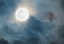 ಶನಿವಾರ ಆಕಾಶದಲ್ಲಿ ವಿಸ್ಮಯ: Wolf Supermoon ಕಂಗೊಳಿಸಿದ ಕ್ಷಣ