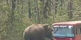 ಬಸ್ ತಡೆದು ನಿಲ್ಲಿಸಿದ ಗಜರಾಜ…!