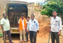 ಹುಚ್ಚು ಮಂಗನ ದಾಳಿ: ಇಬ್ಬರು ಮಹಿಳೆಯರಿಗೆ ಗಂಭೀರ ಗಾಯ