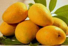 ಅಬ್ಬಾ…! ಈ ಮಾವಿನ ಹಣ್ಣಿಗೆ ಇಷ್ಟೊಂದು ಬೆಲೆನಾ…?