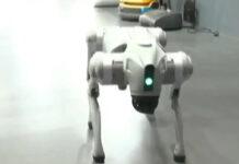 AI ಶೃಂಗಸಭೆ ವಿವಾದ: ರೋಬೋಟ್ ನಾಯಿಯ ಕುರಿತು ಗಾಲ್ಗೋಟಿಯಾಸ್ ವಿವಿ ಸ್ಪಷ್ಟನೆ