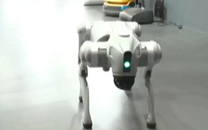 galgotias-university-clarifies-unitree-robot-dog-controversy-ai-summit