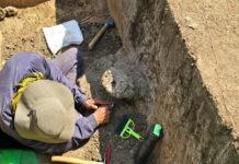 ಬಳ್ಳಾರಿ ಜಿಲ್ಲೆಯಲ್ಲಿ ಇತಿಹಾಸದ ಹೊಸ ಅಧ್ಯಾಯ: ಮೂರನೇ ಆದಿಮಾನವ ಅಸ್ಥಿಪಂಜರ ಪತ್ತೆ