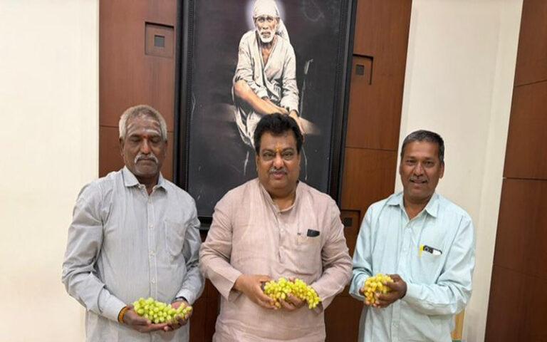 ವಿಜಯಪುರದಲ್ಲಿ ದ್ರಾಕ್ಷಿ ಕ್ರಾಂತಿ: ‘California’ ಕನಸು ನನಸಾಗುತ್ತಿದೆ