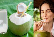 ಎಳನೀರು: ಅತಿಯಾದರೆ ಅಮೃತವೂ ವಿಷ – ನೀವು ತಿಳಿಯಲೇಬೇಕಾದ ಅಚ್ಚರಿಯ ಮಾಹಿತಿ!