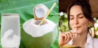 ಎಳನೀರು: ಅತಿಯಾದರೆ ಅಮೃತವೂ ವಿಷ – ನೀವು ತಿಳಿಯಲೇಬೇಕಾದ ಅಚ್ಚರಿಯ ಮಾಹಿತಿ!