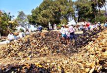 ವಿದ್ಯುತ್ ಶಾರ್ಟ್ ಸರ್ಕ್ಯೂಟ್ 8 ಲಕ್ಷ ಮೌಲ್ಯದ ಗೋವಿನಜೋಳ ಬೆಂಕಿಗೆ ಆಹುತಿ