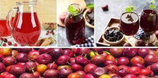 ಬೇಸಿಗೆಯಲ್ಲಿ ದೇಹಕ್ಕೆ ತಂಪು ನೀಡುವ ಕೊಕ್ಕೂಮ್ ಜ್ಯೂಸ್: ರುಚಿ, ಆರೋಗ್ಯ ಮತ್ತು ಪರಂಪರೆಯ ಅದ್ಭುತ ಮಿಲನ