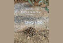 ಹಿರೇಬೆಣಕಲ್: ಮೊರೇರ್ ಕಾಲದ ಕಬ್ಬಿಣದ ಅದಿರು ಪತ್ತೆ