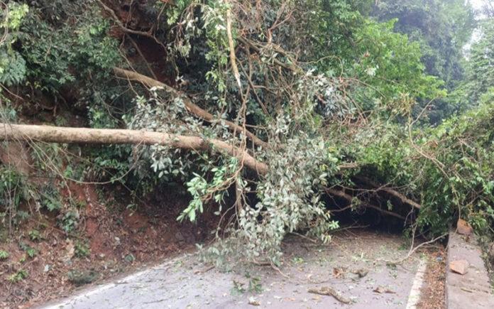 agumbe-ghat-road-block-tree-fall-traffic-jam