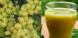 ಆರೋಗ್ಯಕ್ಕೆ ಸಂಜೀವಿನಿ ‘ನೆಲ್ಲಿಕಾಯಿ’: ಇಲ್ಲಿವೆ ಇದರ ಉಪಯೋಗಗಳು